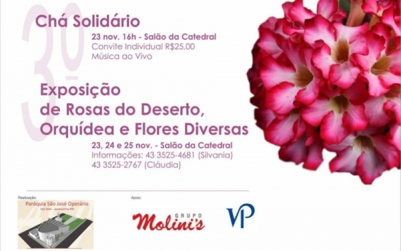 Paróquia realiza exposição de flores e chá solidário em Jacarezinho
