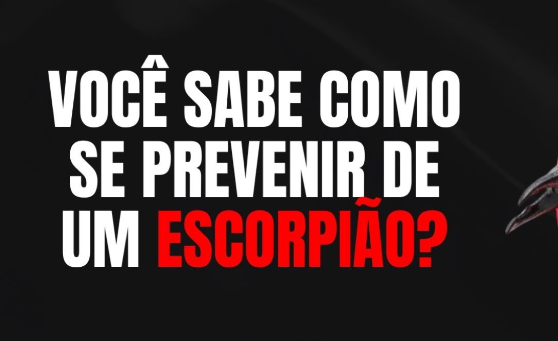 Campanha de prevenção e combate ao escorpião: Saiba como se prevenir!