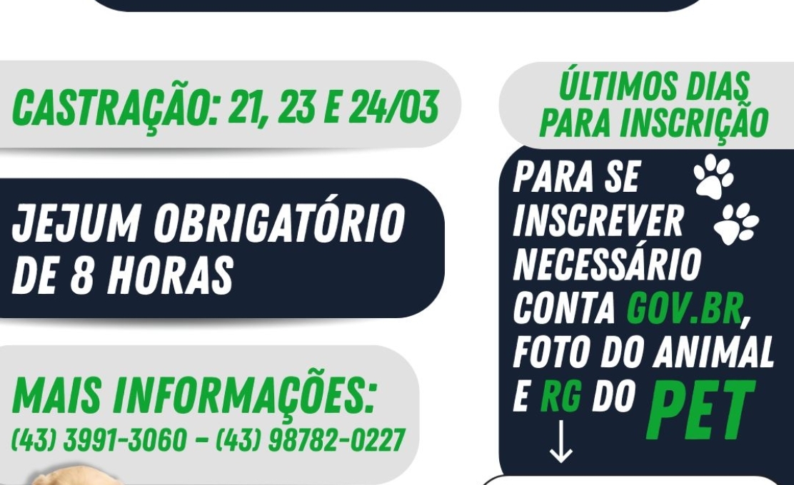 Últimos dias! Garanta a castração gratuita do seu pet