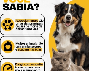 whatsapp-image-2026-05-20-at-144713-1.jpeg