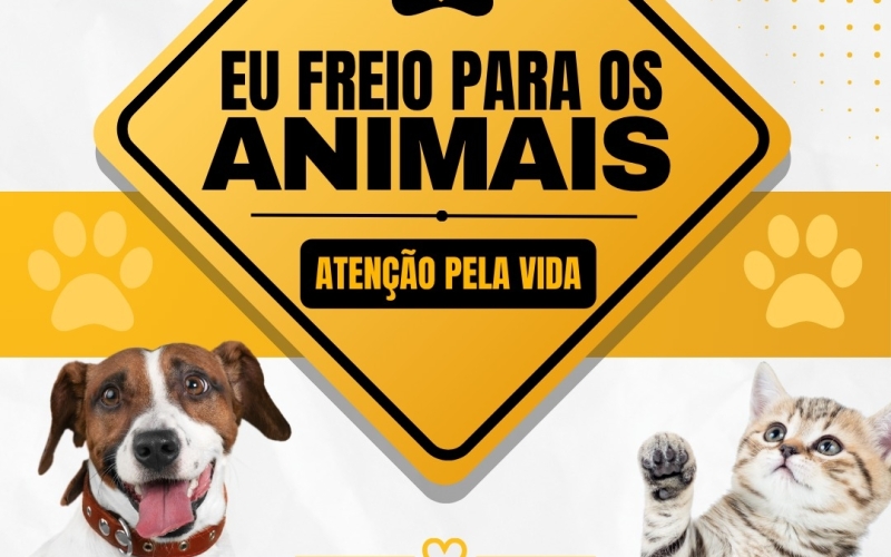 Maio Amarelo: Respeito e proteção aos animais também fazem parte de um trânsito mais seguro 
