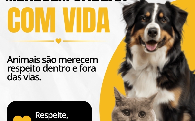 Maio Amarelo: Respeito e proteção aos animais também fazem parte de um trânsito mais seguro 